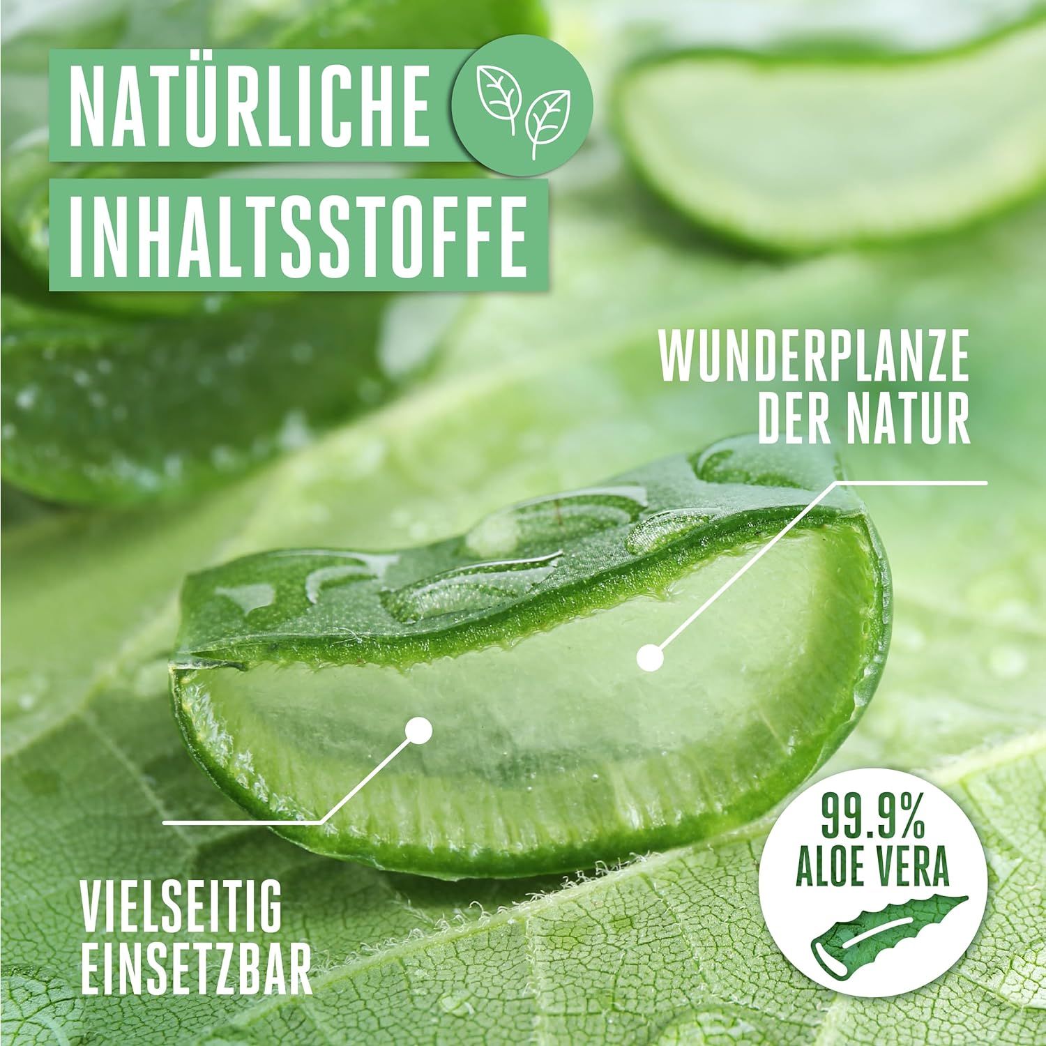 Vitabay Aloe Vera Gel