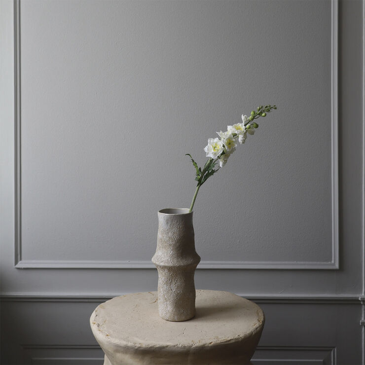 Botané Delphinium Flower White