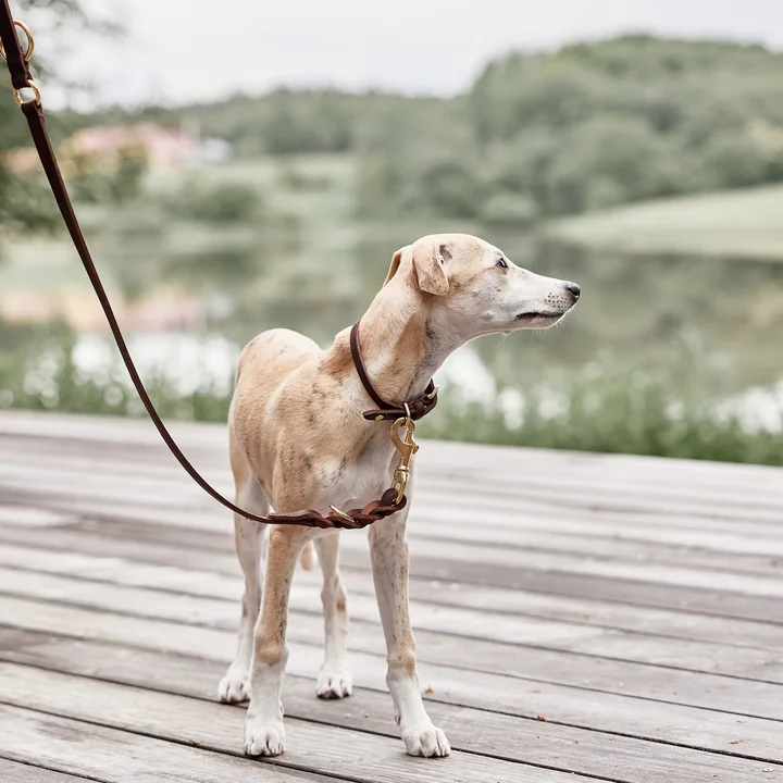 OYOY ZOO - Robin Hundehalsband, medium, choko