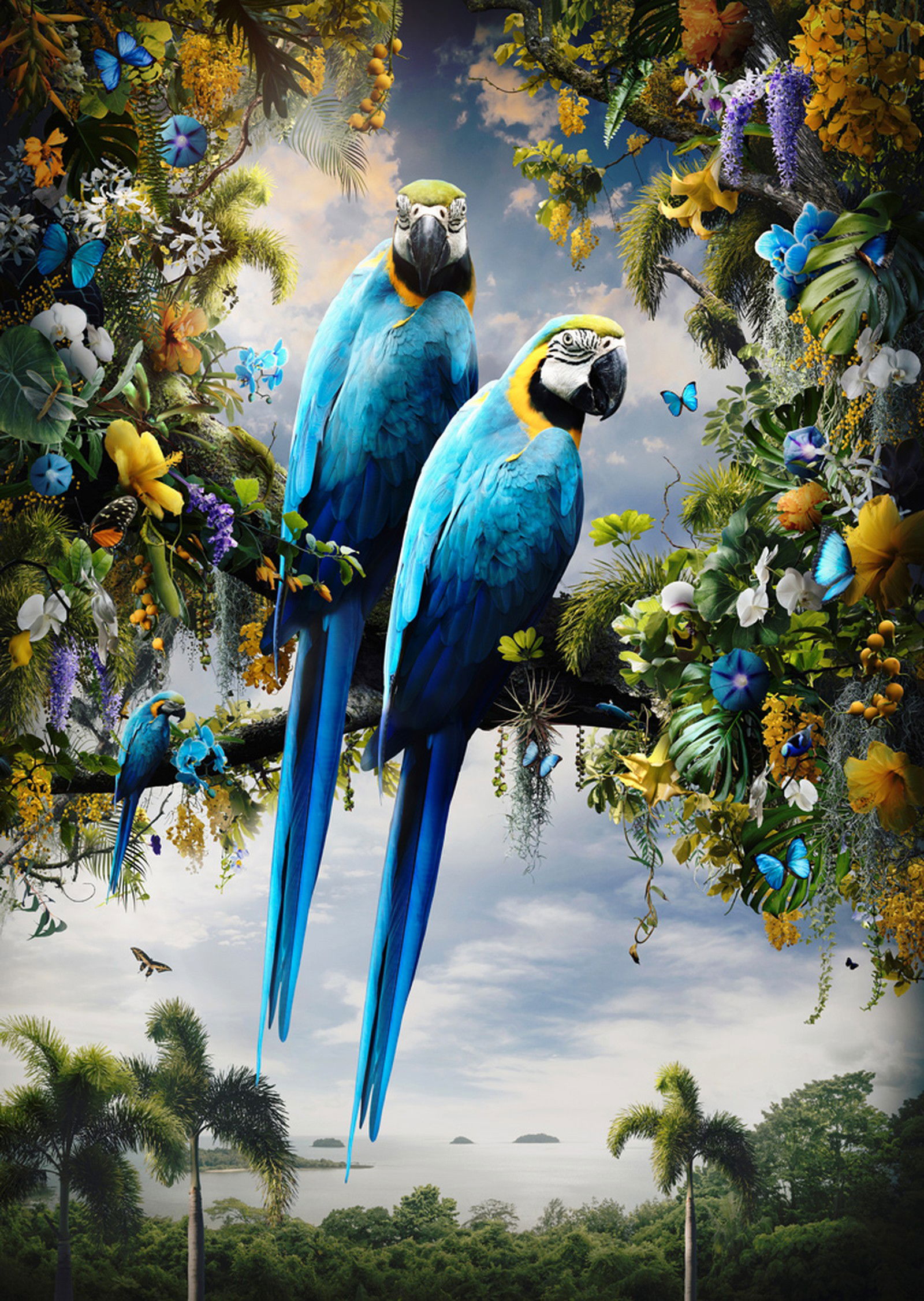 In Paradisum II by Jesper Krijgsman - Limited Edition. Edition of: 150. Signed.