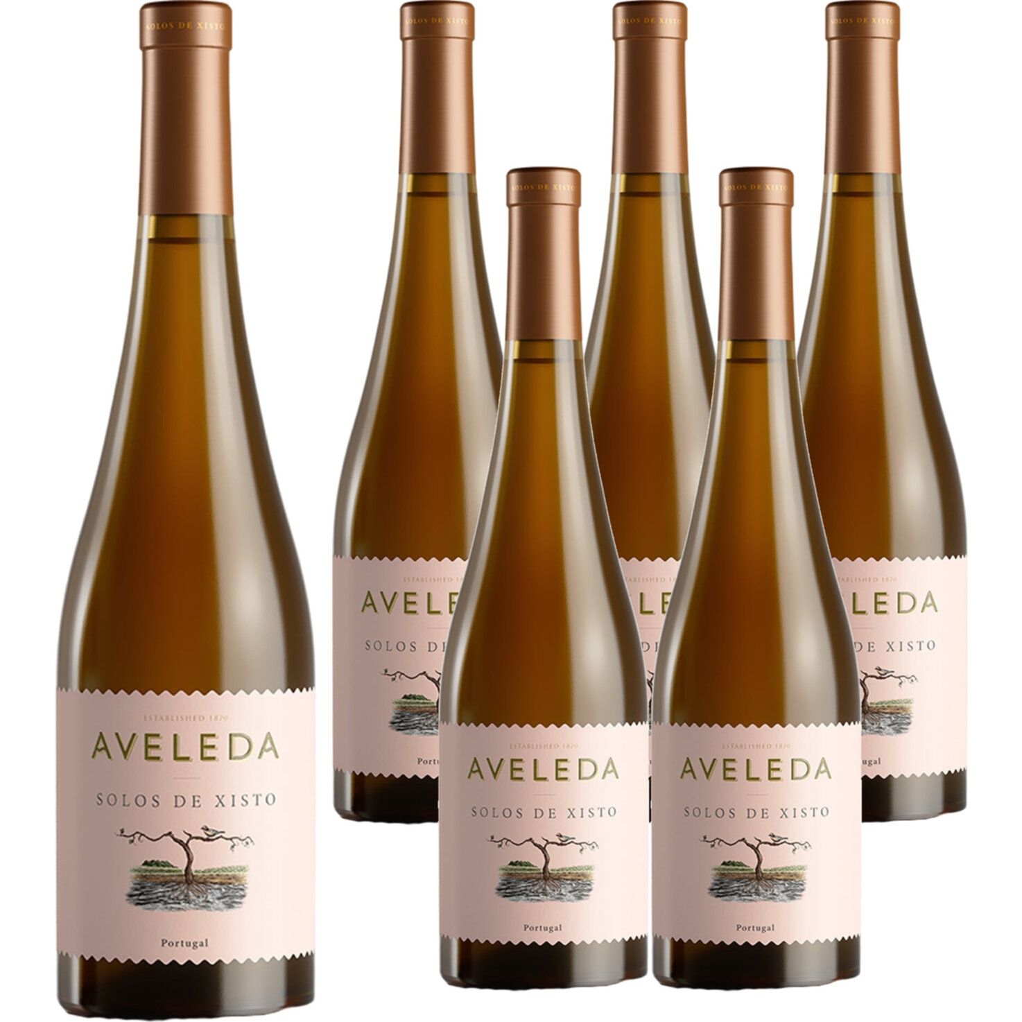 Vinho Verde DOC Alvarinho Solos Xisto Aveleda 6x 75cl -6x 75cl