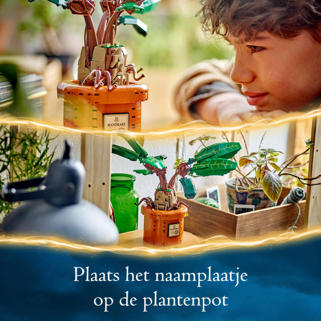 Leuk concept, gedoe om te bouwenMandragora Speelgoed Plant set 76433