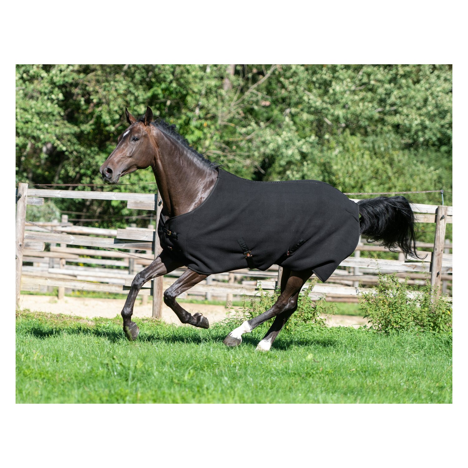 RIDE now Abschwitzdecke Luton  - black