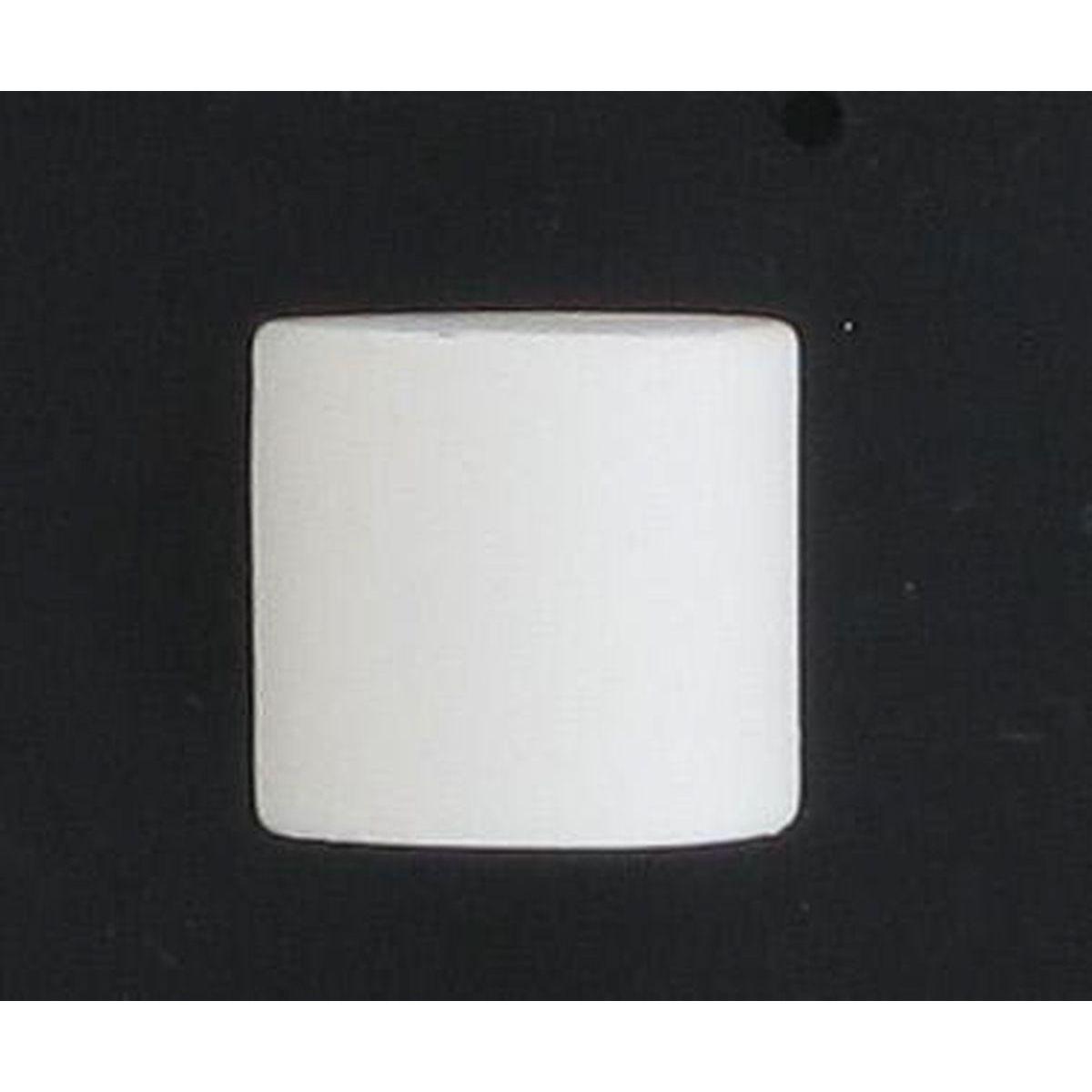 EMBOUT BOUCHON D20 X2 BLANC MAT