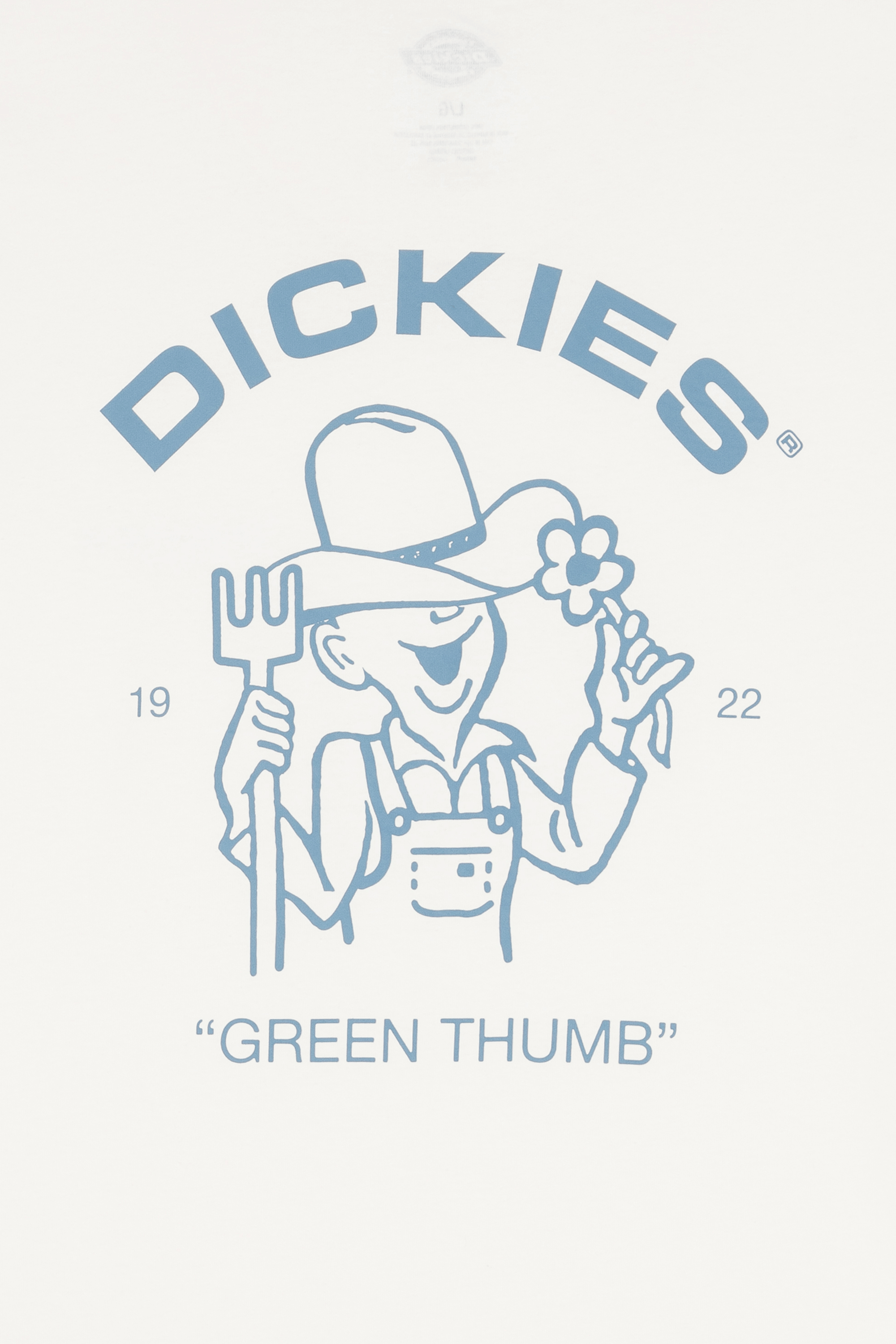 DICKIES T-shirt WAKEFIELD TEE SS Beige
