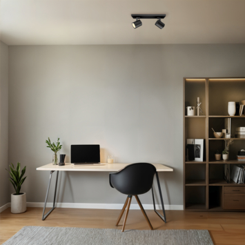 Philips Runner zwart GU10 2-lichts