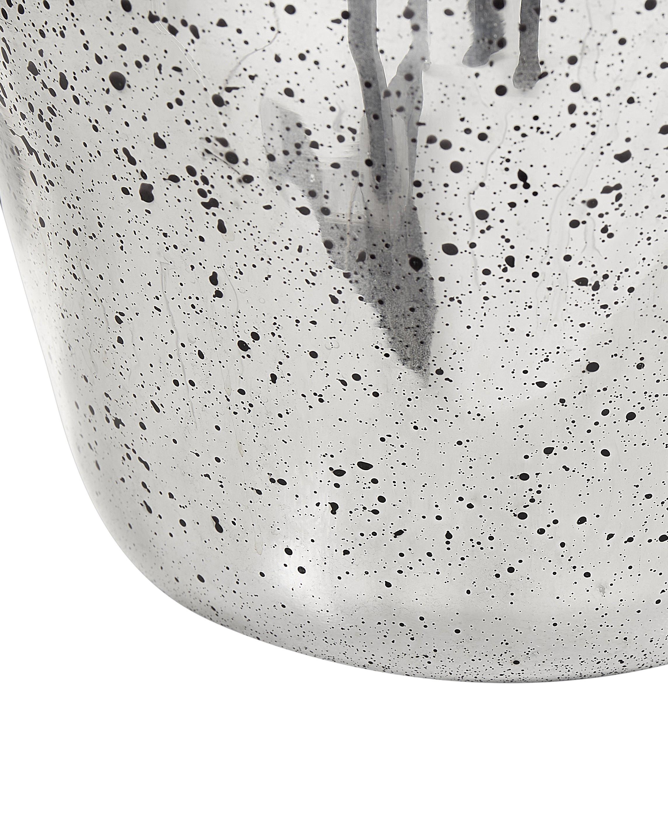 Bloemenvaas KACHORI Glas 40 cm Zilver