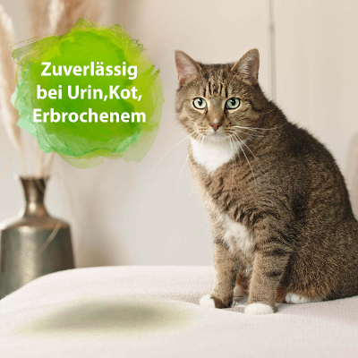 Bactador Katzentoiletten Geruchsentferner Spray 500ml
