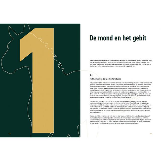 Het Nieuwe Voeren