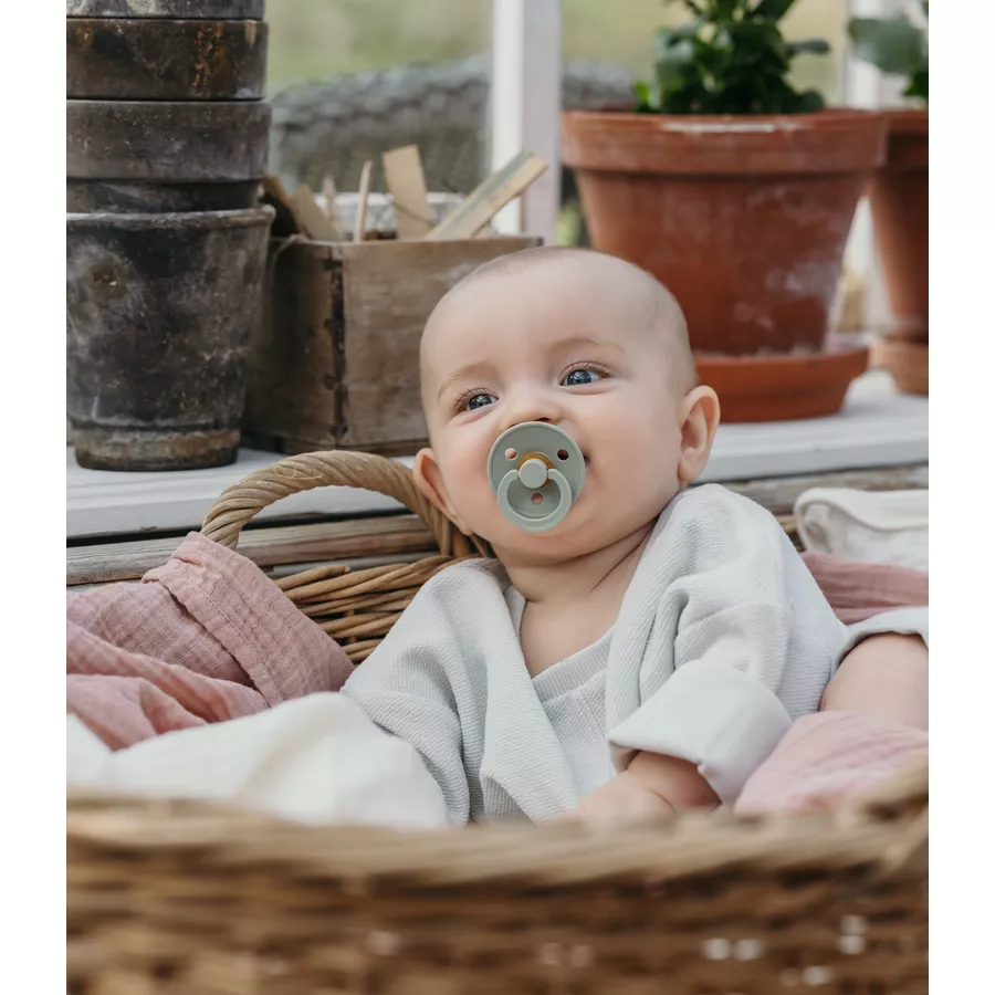 BIBS® Schnuller Colour Sage  Hunter Green 6-18 Monate, 4 Stk.