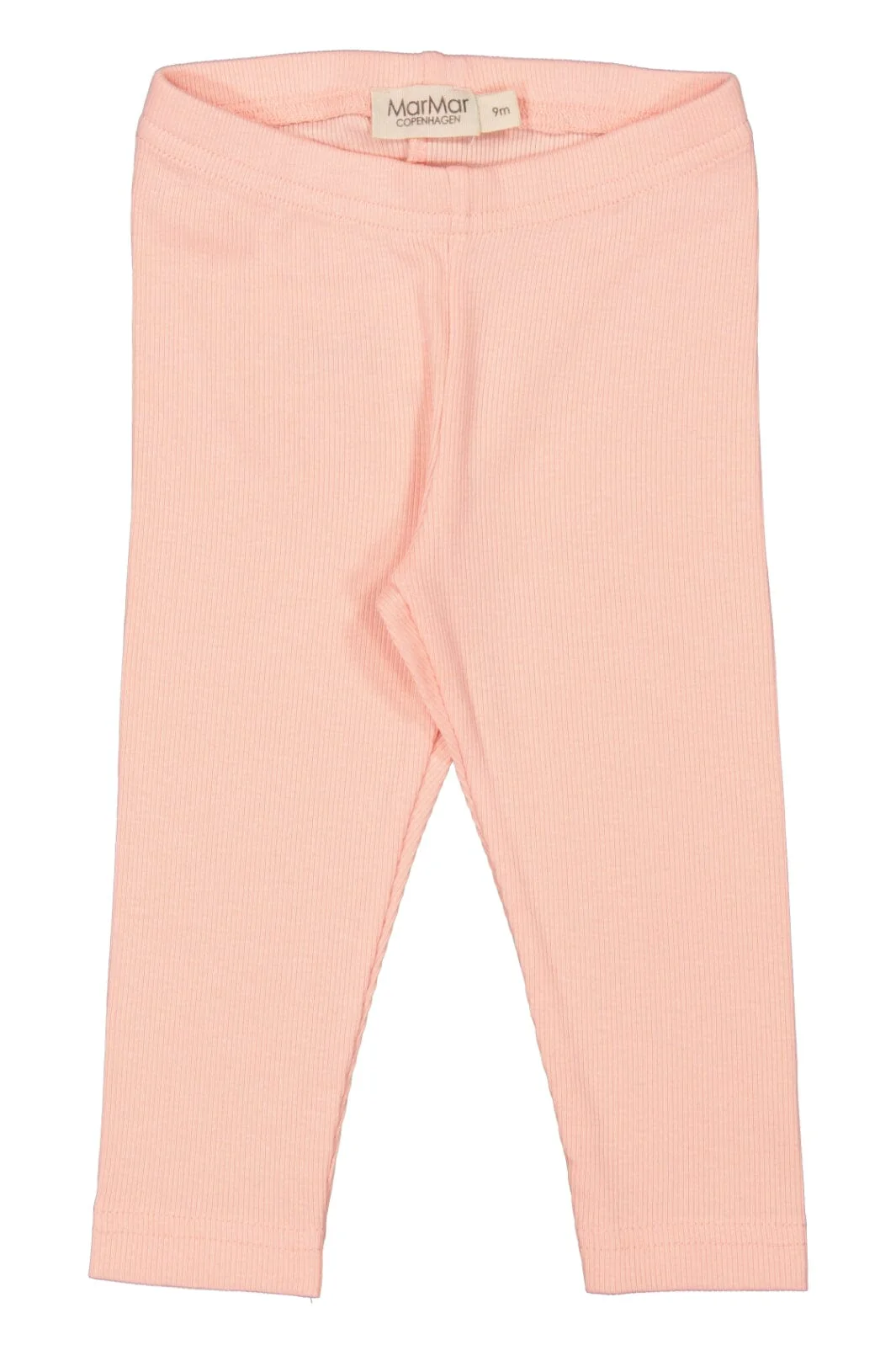MarMar Leg 0307 soft coral
