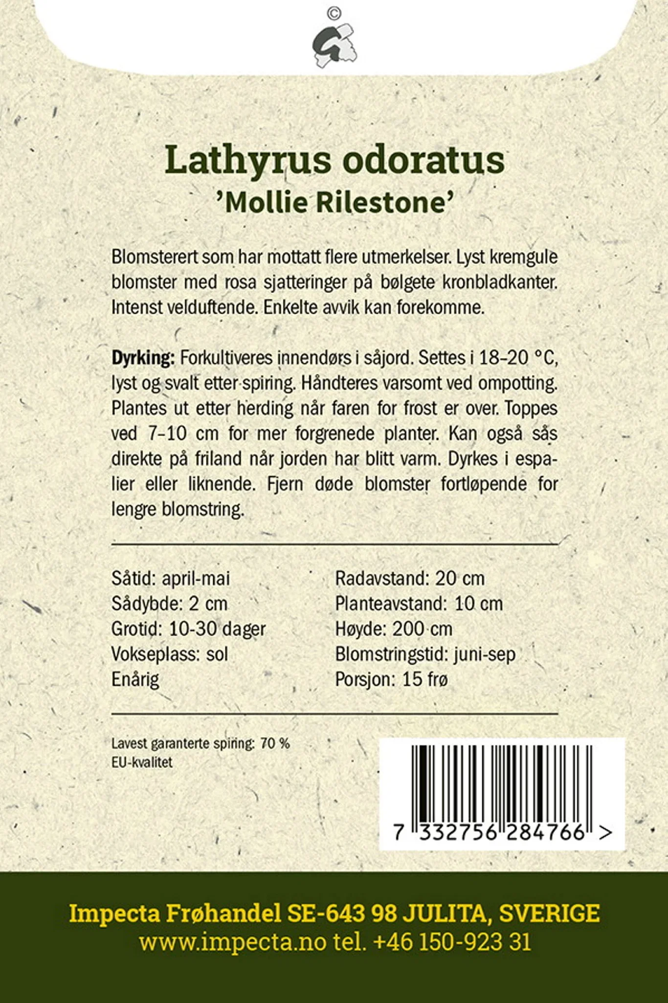 Lathyrus odoratus 'Mollie Rilestone' Blomsterert 'Mollie Rilestone'