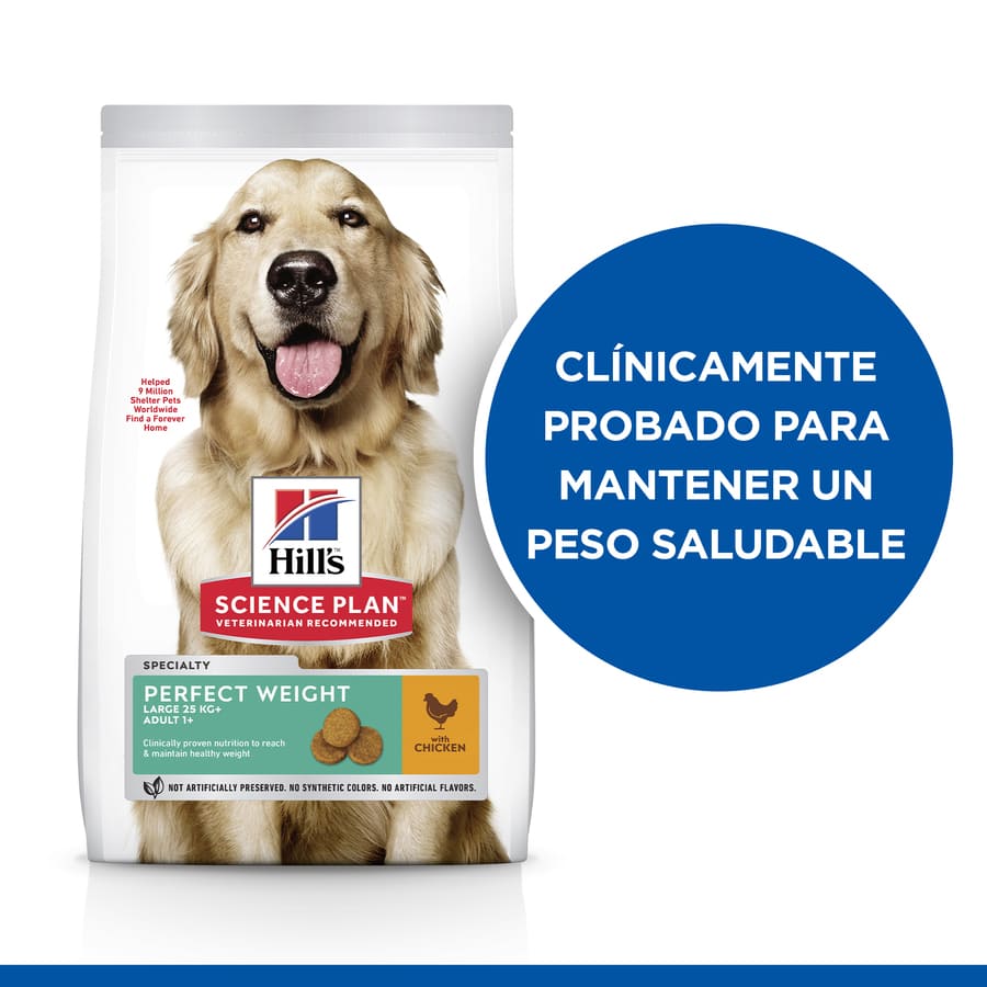 Ração para cães Hill's Science Plan Perfect Weight Adult Large com sabor de frango