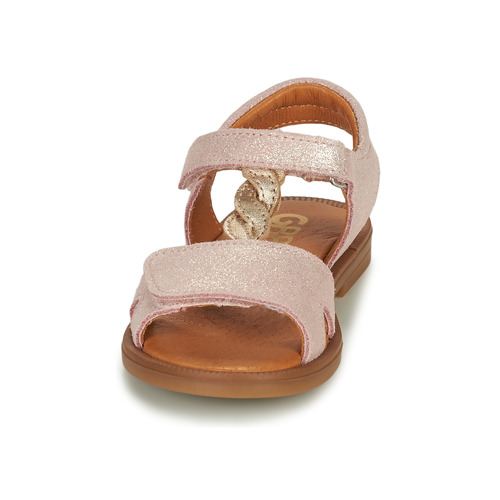 GBB - FARENA - Rose
