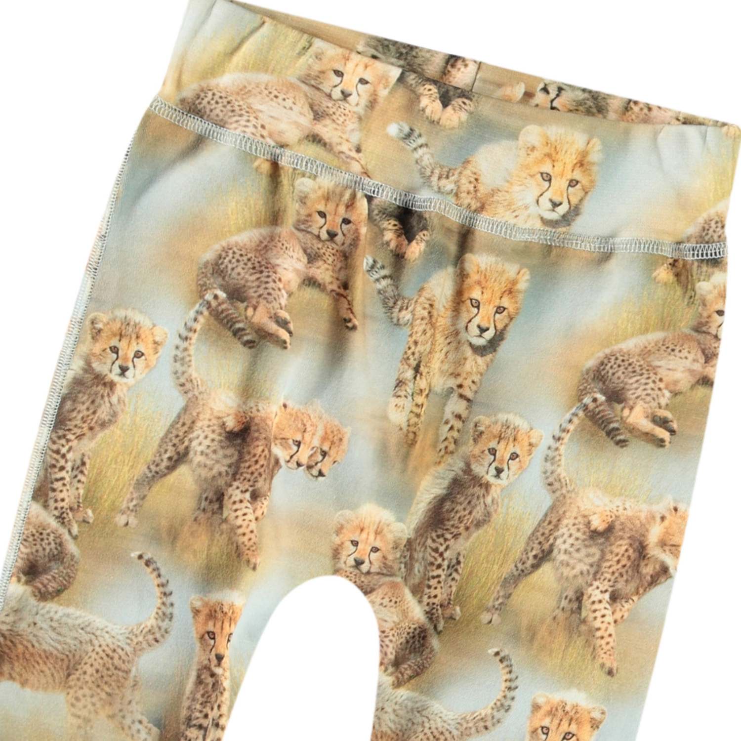 Sammy - Cheetah Cubs