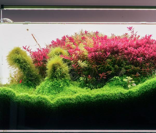 Chihiros Aquariumbeleuchtung LED-System B