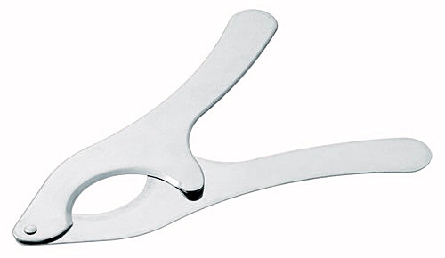 Pince Coupe Oursin Inox