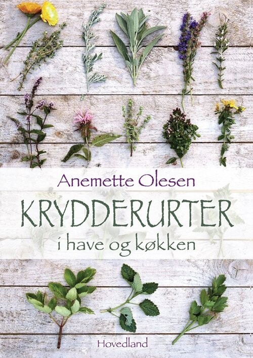 Krydderurter I Have Og Køkken - Anemette Olesen - Bog
