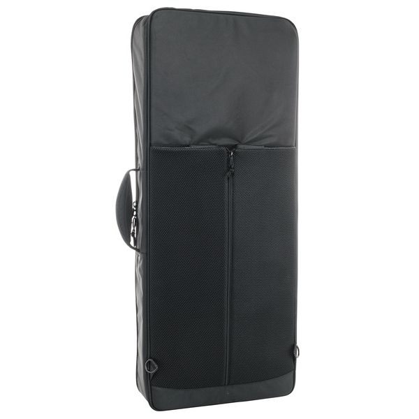 Analog Cases Sustain Case 49