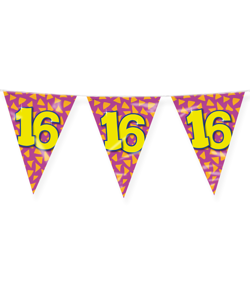 Vlaggenlijn 16 Jaar Gekleurd 10m