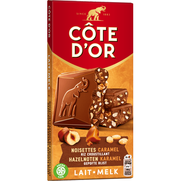Cote D'or Melk Hazelnoot Chocolade Reep 170g
