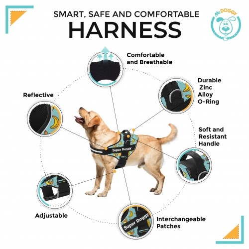 Coleira Super Doggy personalizada com estampa de banana na cor azul.
