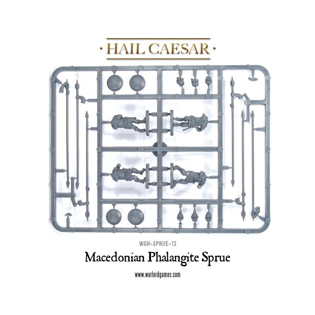 Hail Caesar - Macedonians: Royal Guard