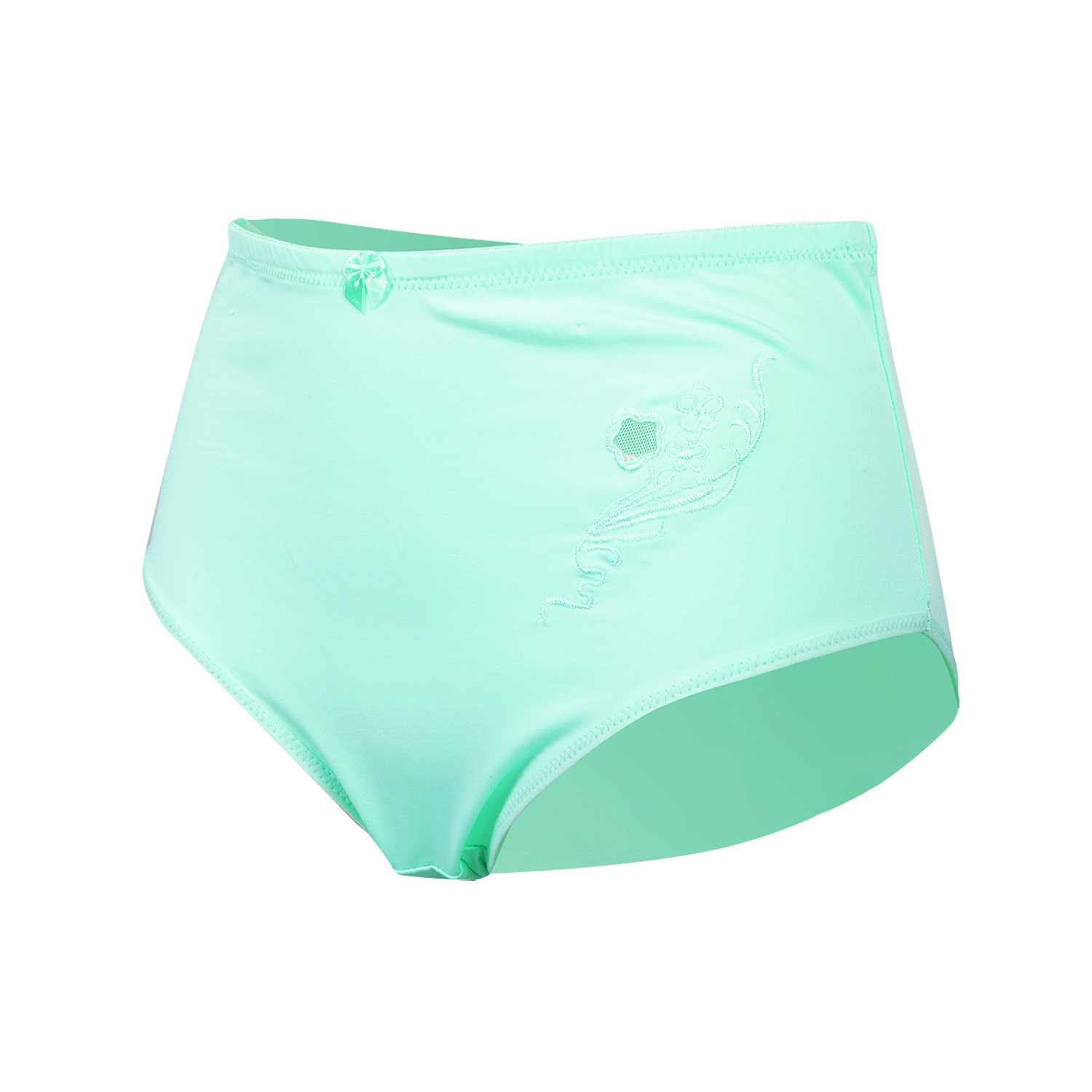 Damen Slip Microfaser mit Stickerei Gr. 40/42–52/54 pastellfarben 2er 6fach