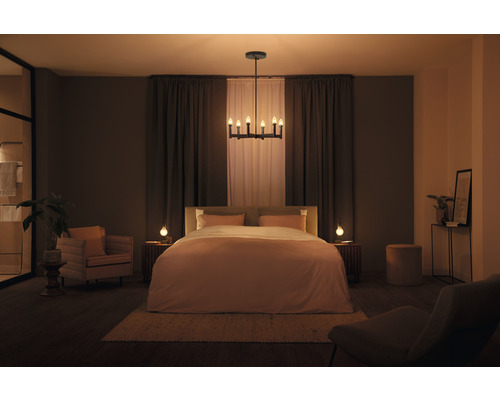 Philips Hue Globe Bulb White Ambiance Filament Dimbaar Goud G93 E27/7W (40W) 550 lm 2200-6500 K - Compatibel met SMART HOME van Hornbach
