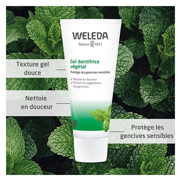 Creme dental vegetal Weleda Oral Care Gel 75ml
