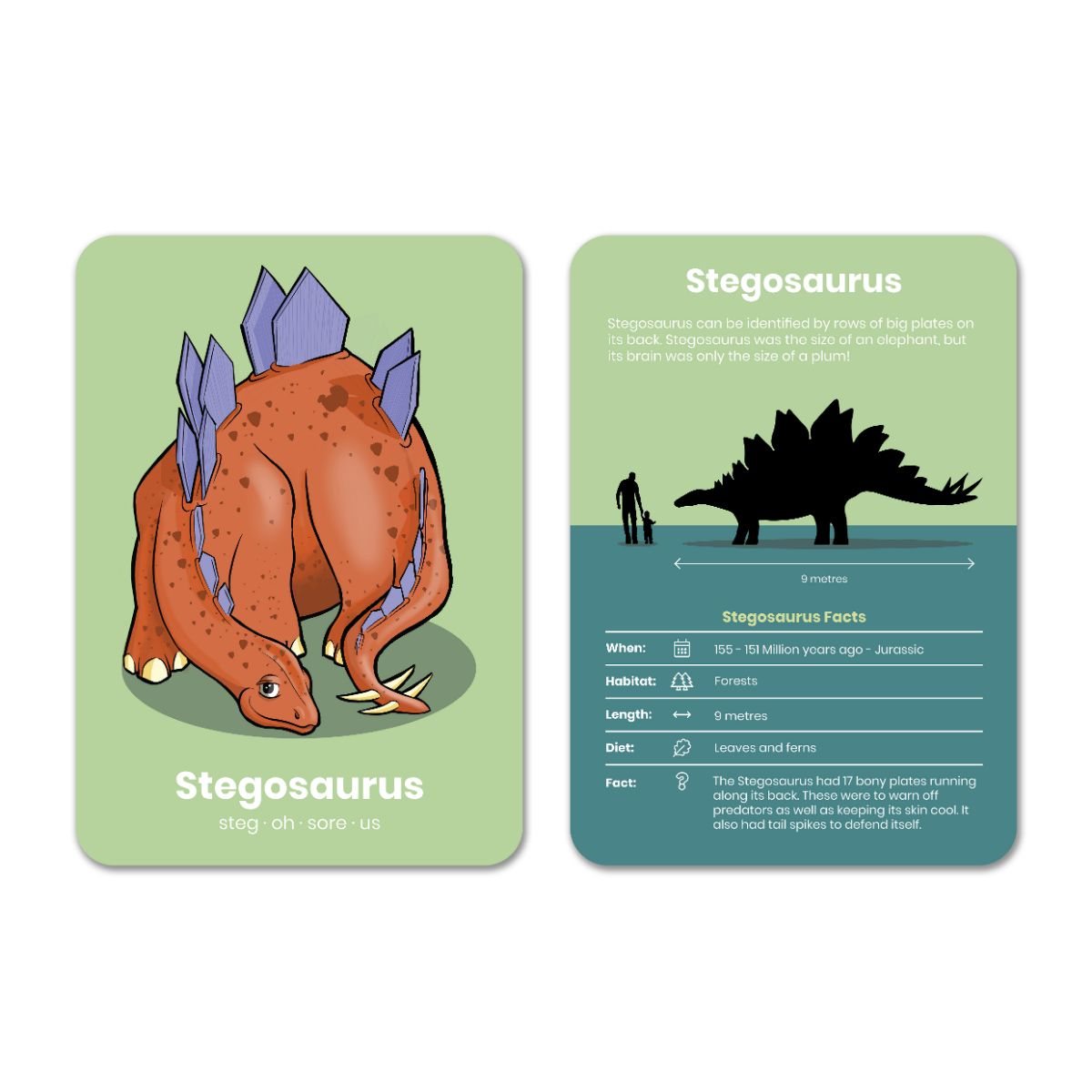 Learn By Doing Dinosaurs Flashcards