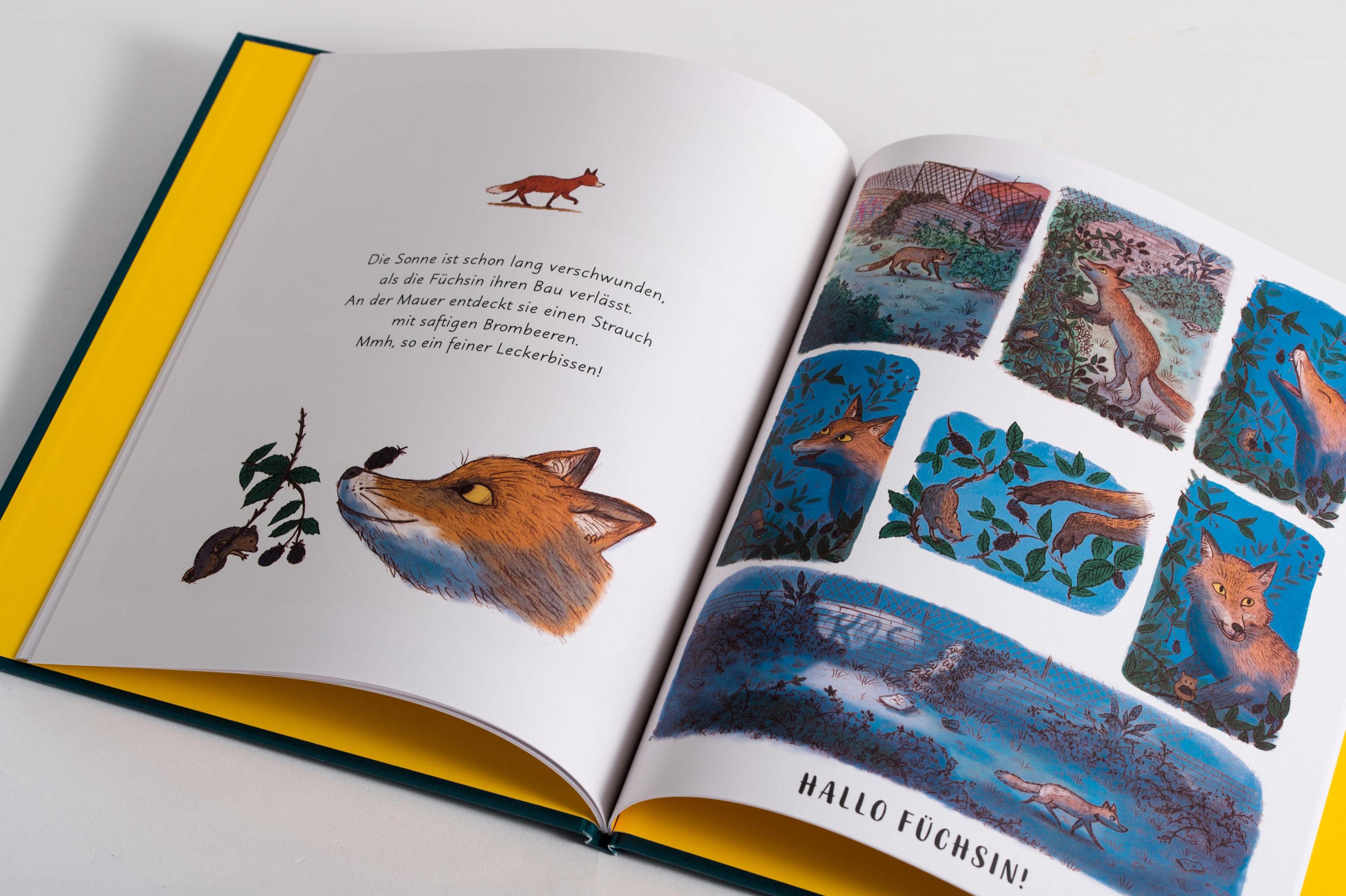 Wunder der Natur. Das Gute-Nacht-Buch
