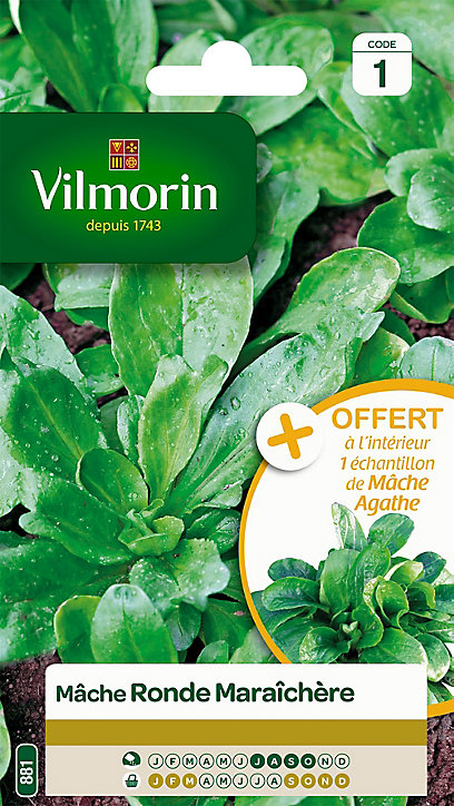 Graines de Mâche Ronde Maraîchère Vilmorin