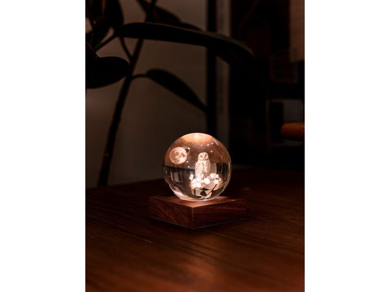 Gingko LED Stimmungslicht Amber Eule Braun/Transparent LED Beleuchtung