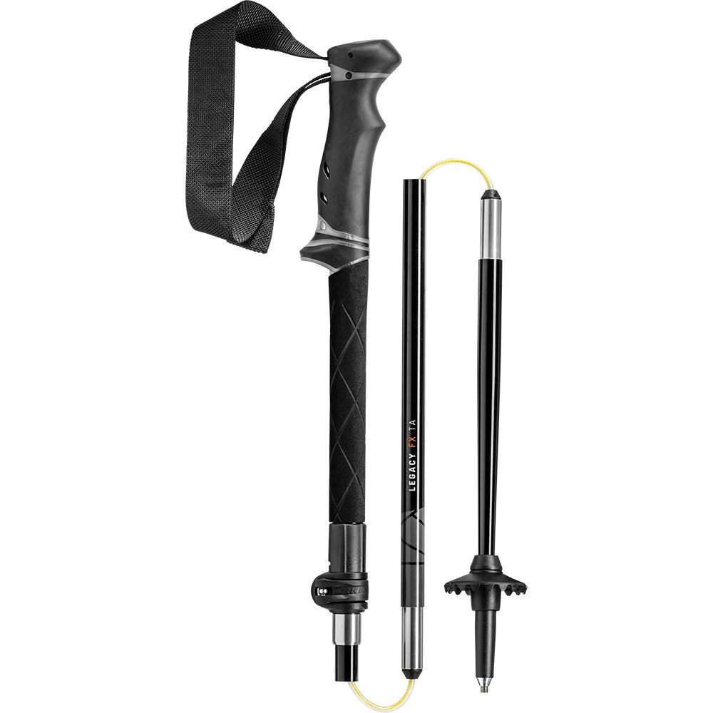 LEKI Legacy FX TA Wanderstöcke silbergrau