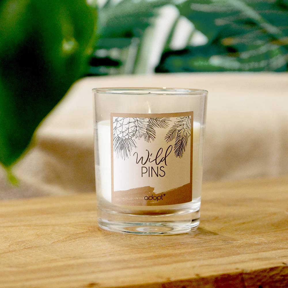 Wild pins Bougie essentielle 100g