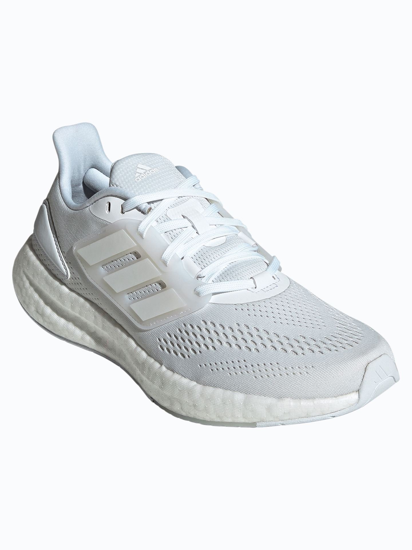 Pureboost 22