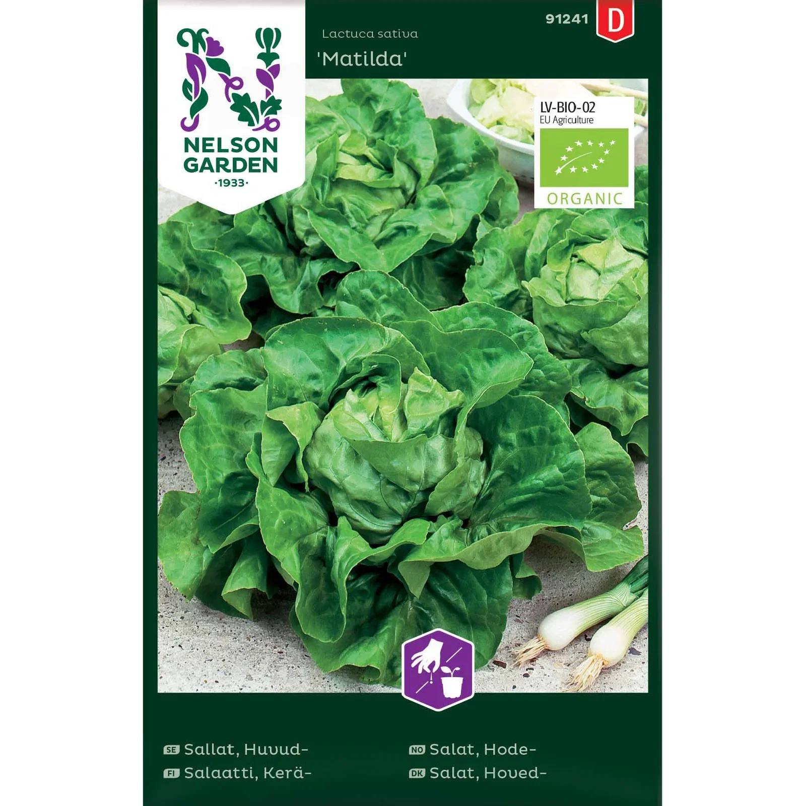 Lactuca sativa 'Matilda' Hodesalat 'Matilda'