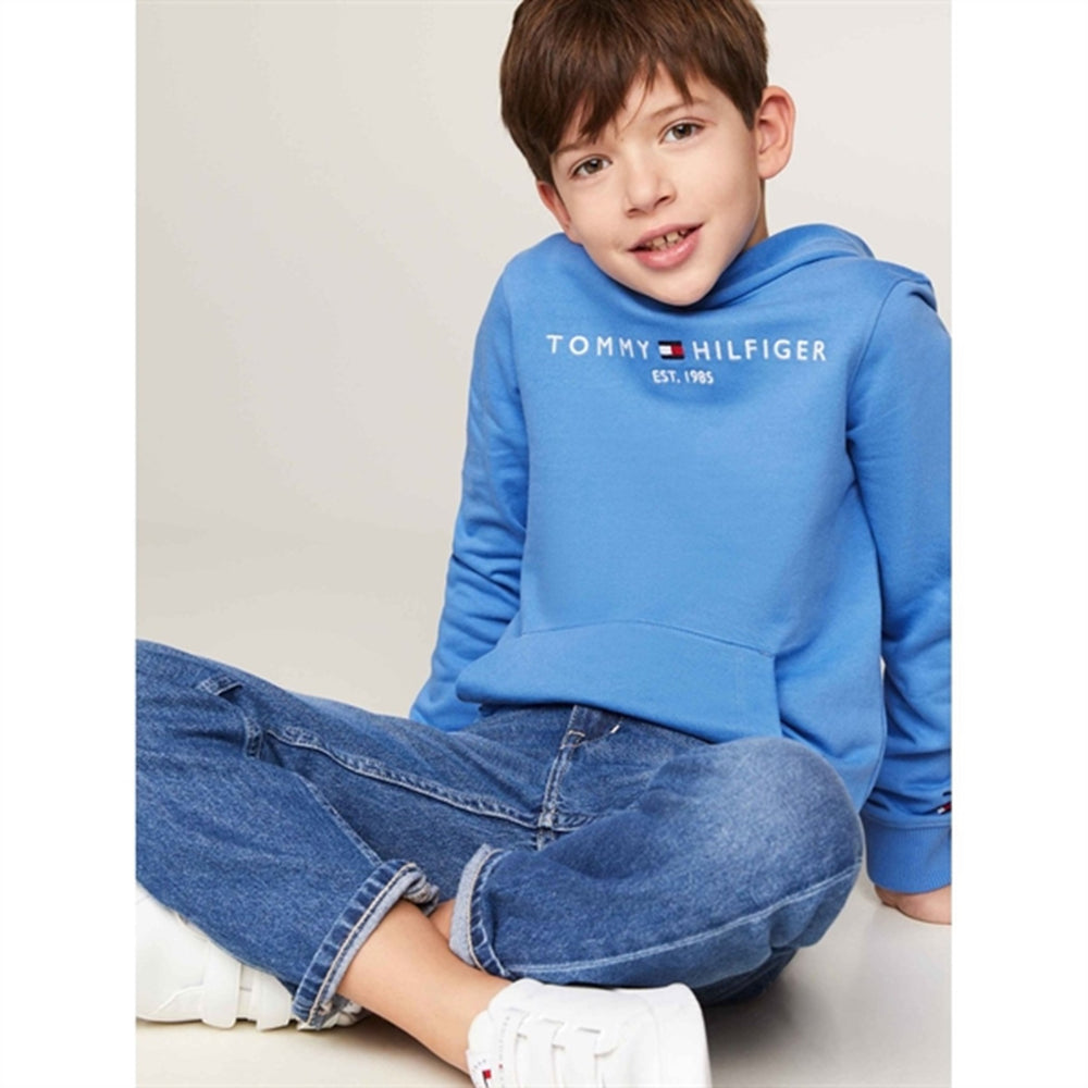 Køb Tommy Hilfiger Essential Hættetrøje Blue Spell