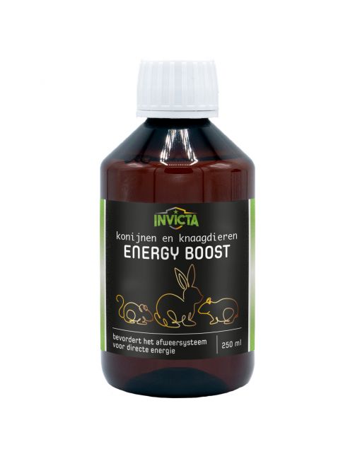 Invicta Energy Boost - Voedingssupplement