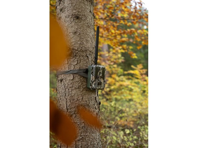 Dörr Kamera Wildkamera SnapShot Cloud Pro 4G Überwachungskamera für hochauflösende Wildtierbeobachtung und Sicherheitsüberwachung