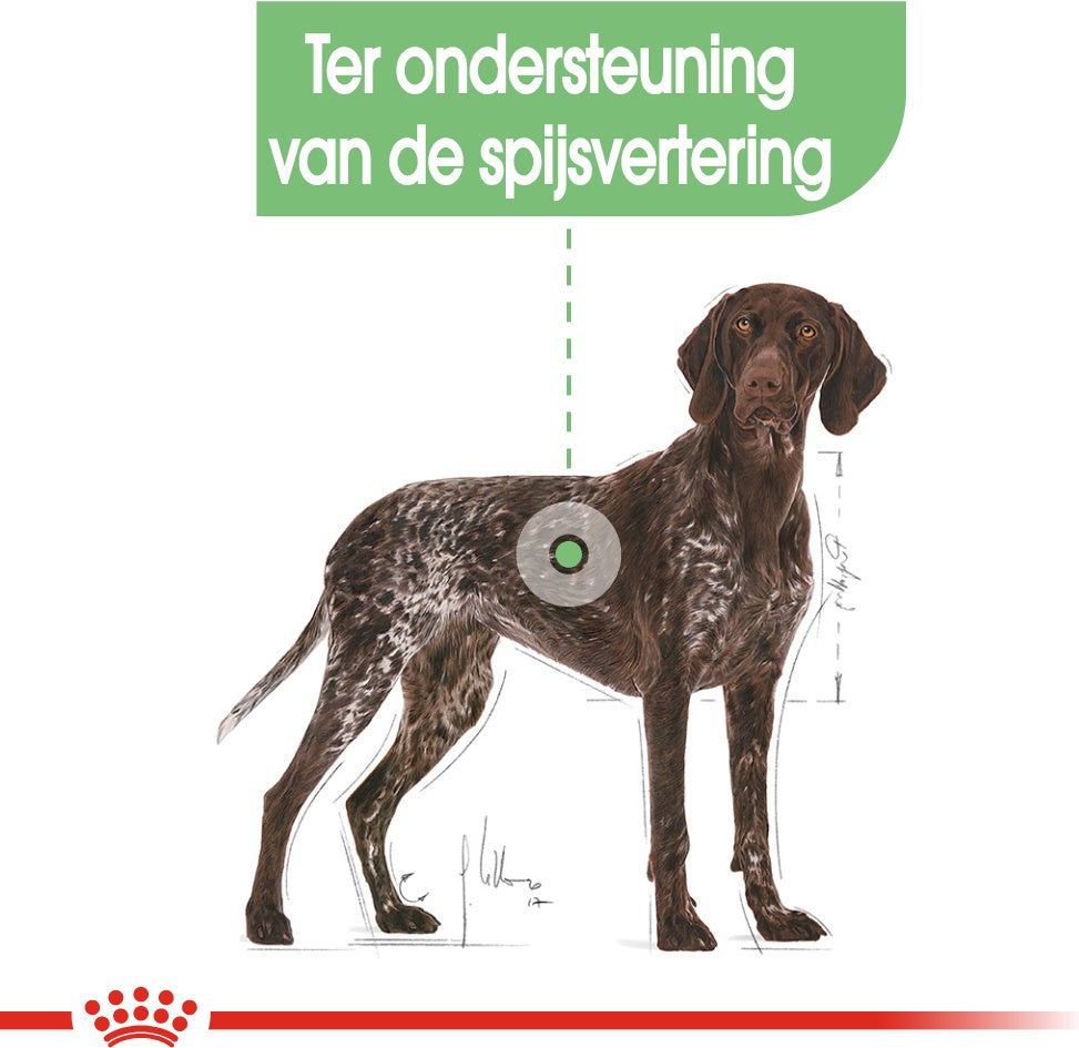 Royal Canin hondenvoer Digestive Care Maxi 3 kg