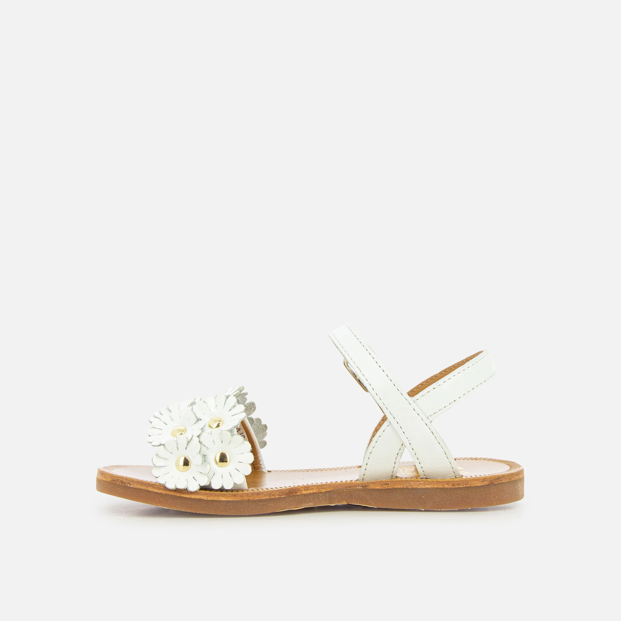 PLAGETTE MULTI FLO
