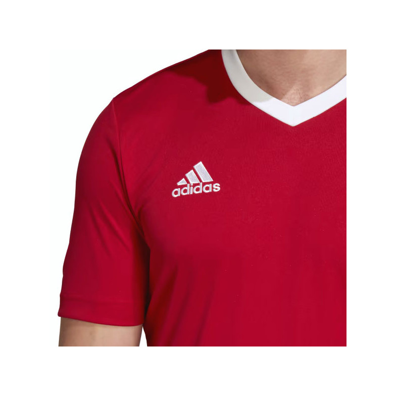 Tee-shirt sport Adidas Teamwear