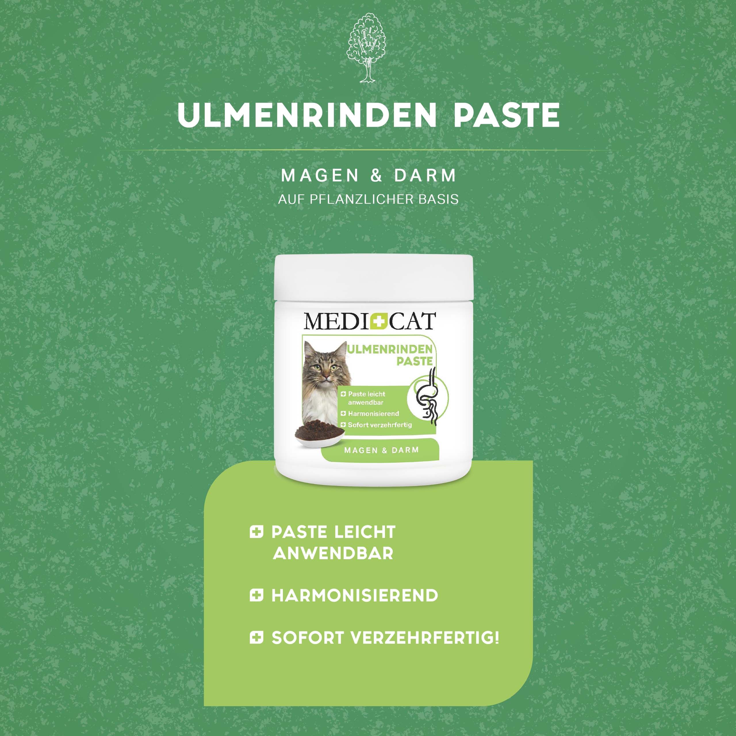 MEDICAT Ulmenrinde Paste