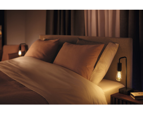 Philips Hue White Ambiance Dimbare Gouden Filamentlamp ST64 E27/7W (40W) 550 lm 2200K-6500K - Compatibel met SMART HOME van Hornbach