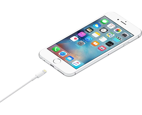 Apple Lightning to USB Cable (1m)