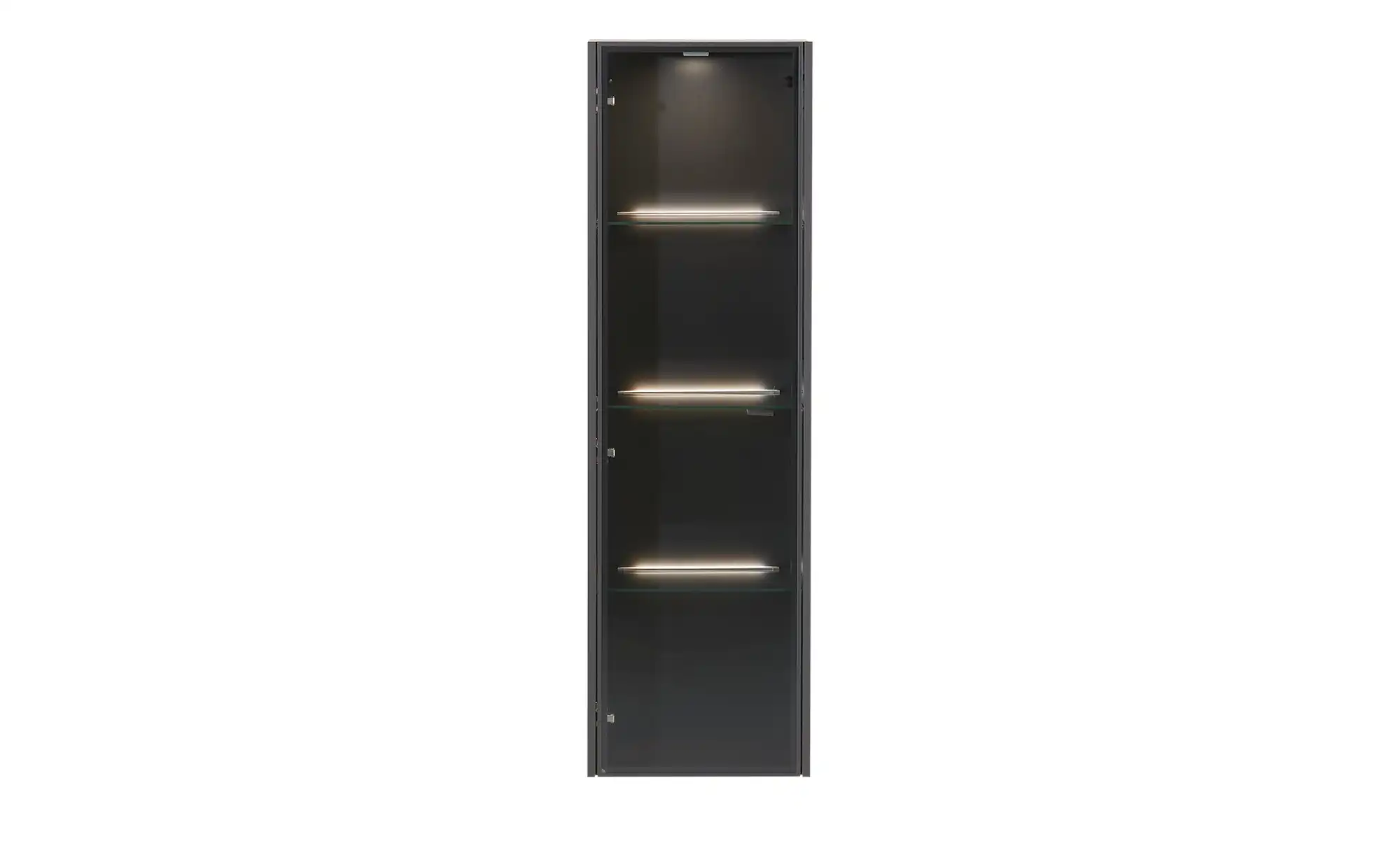 Hängevitrine Light Line 10