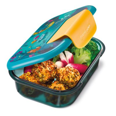 Boîte repas Ecozen 900 ml pour enfants – Design Jungle Fever – Hermétique et écologique