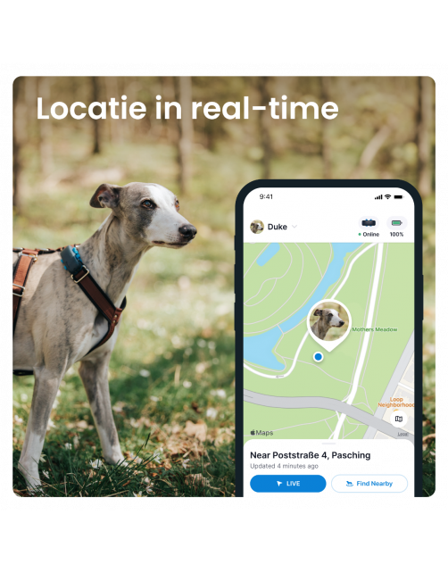 Tractive Gps Dog 4 Hondentracker En Activiteitenmonitor 17x71x28 mm - Hondenlocatievinder